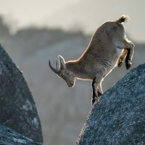 Photo #7000211