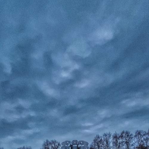 Photo #7000438