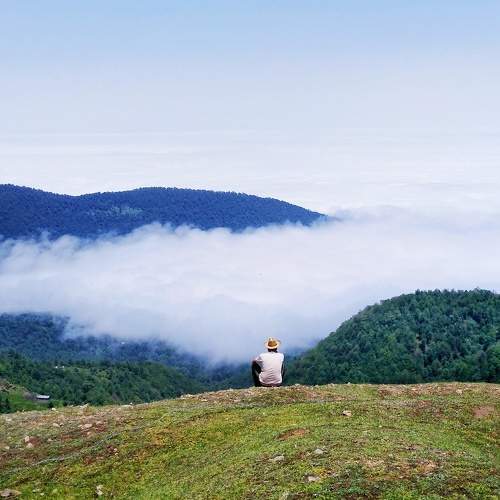 Photo #7000570