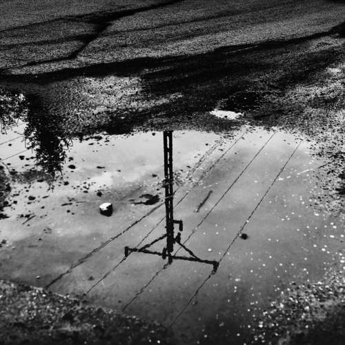 Photo #7001083