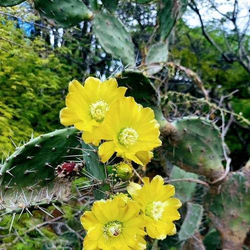 Photo #7001108