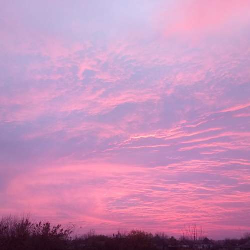 Photo #7001196