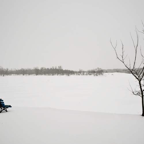 Photo #7001221