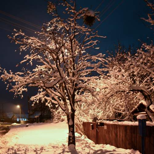 Photo #7001225