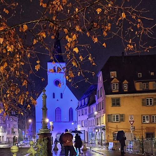 Photo #7001413