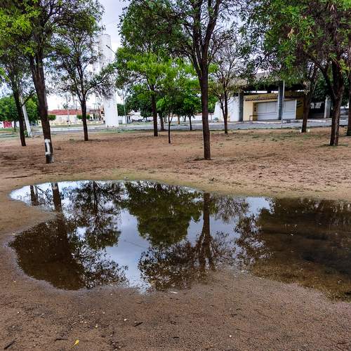 Photo #7001835