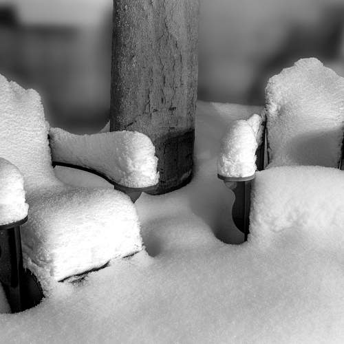 Photo #7001847