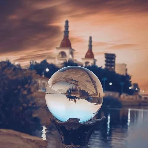 Photo #7001913