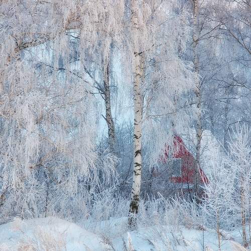 Photo #7002161