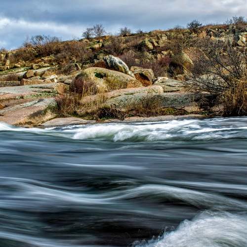Photo #7002673