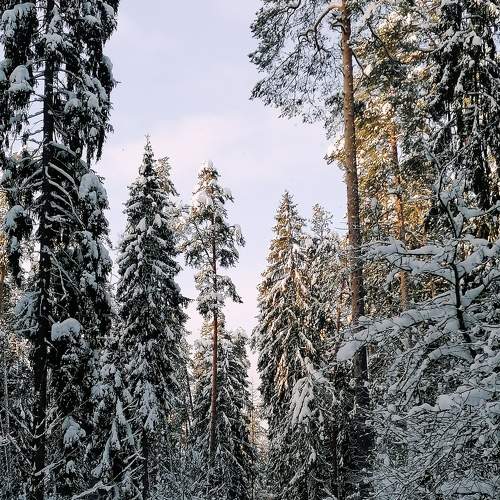 Photo #7002792
