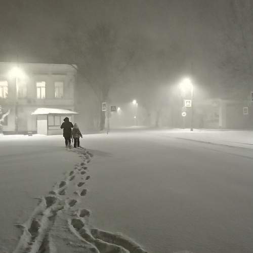 Photo #7002812