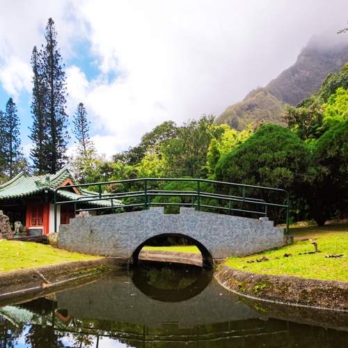 Photo #7003000
