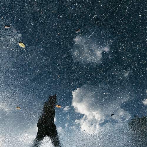Photo #7003156