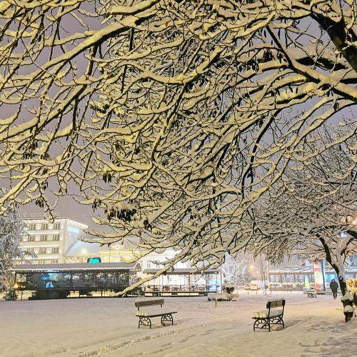 Snow in my city