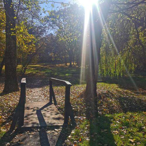 Photo #7003256