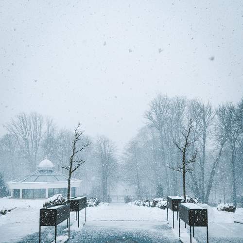 Photo #7003544