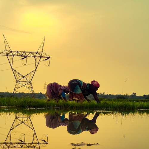 Photo #7003654