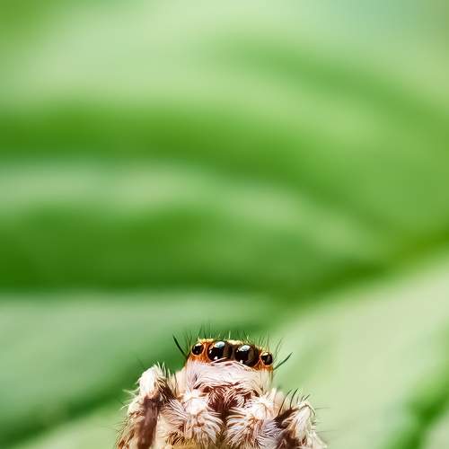 Photo #7003857