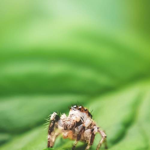 Photo #7003867