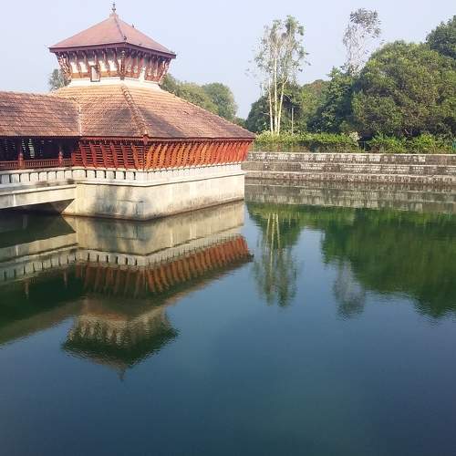 Photo #7003916