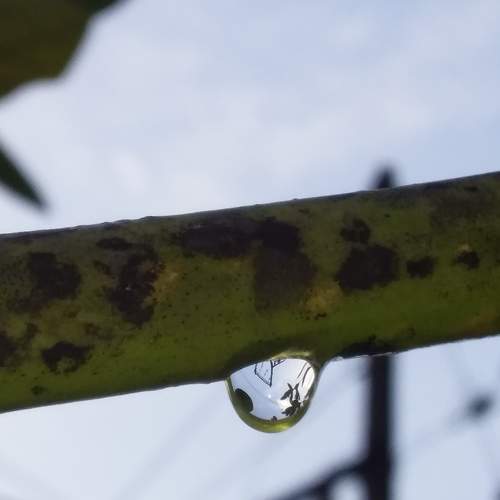 Photo #7003952
