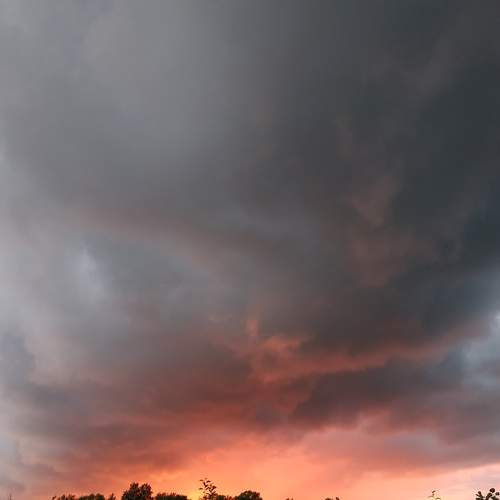 Photo #7004205