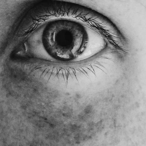 Фотография #7004352