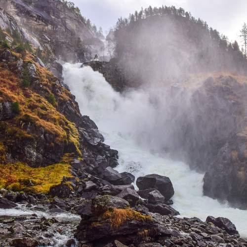 Photo #7004378