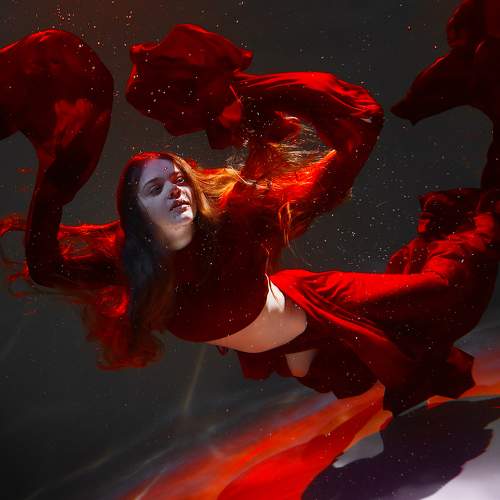 Photo #7004513