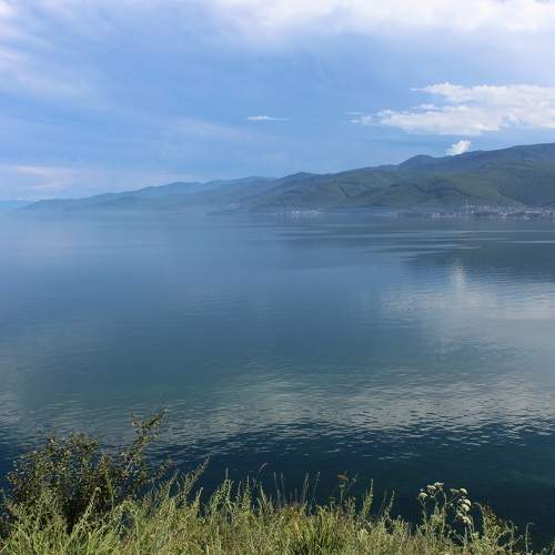 Photo #7004634