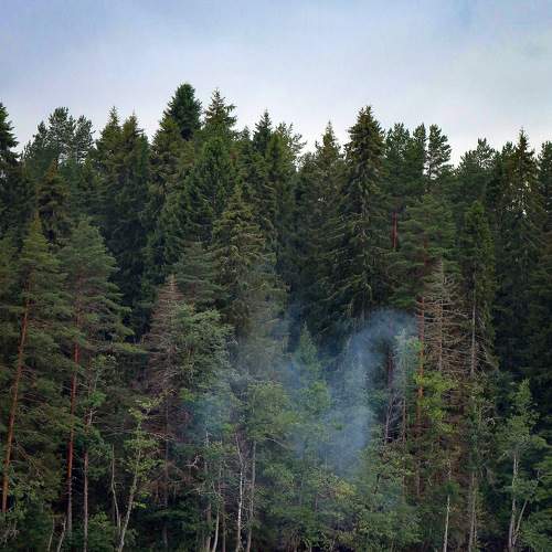 Photo #7004653