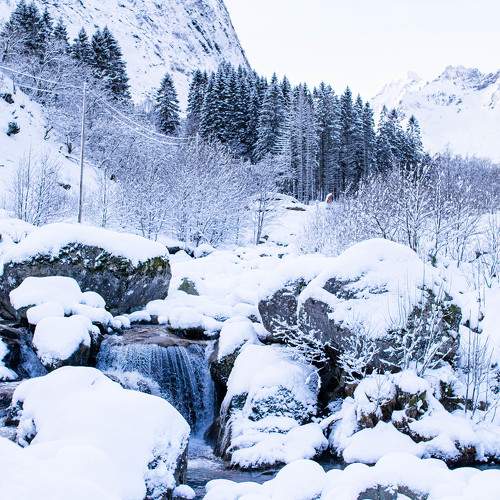 Photo #7004816