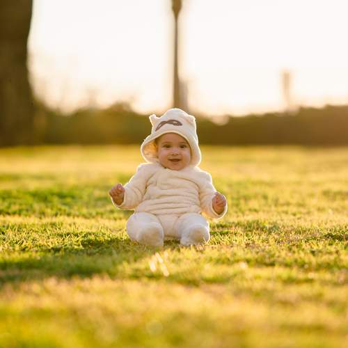 Photo #7005062