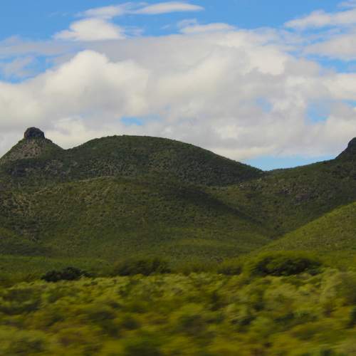 Photo #7005381
