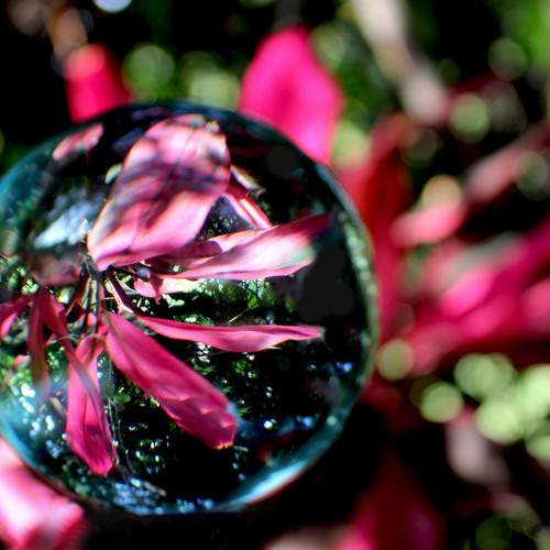 Photo #7005391