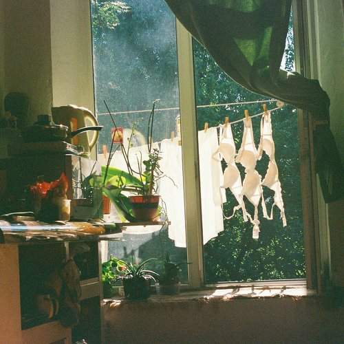 Photo #7005427