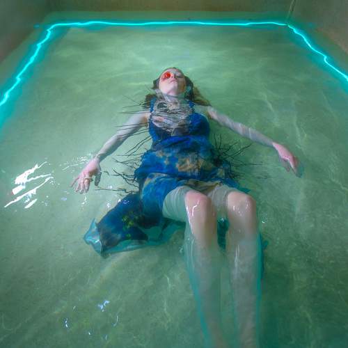 Photo #7005559