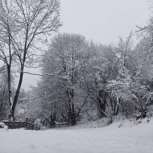 Photo #7005622