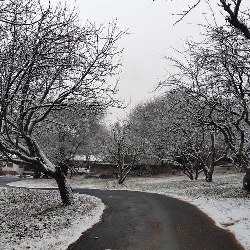 Photo #7005634