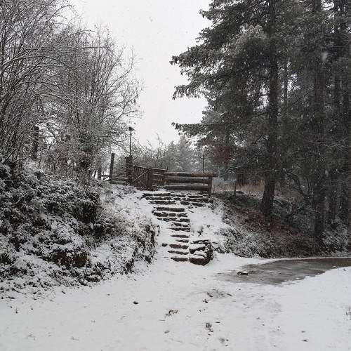 Photo #7005649