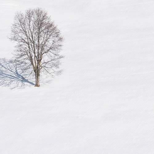 Photo #7005729