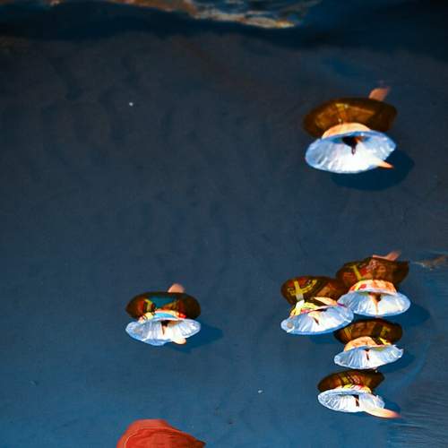 Photo #7005823