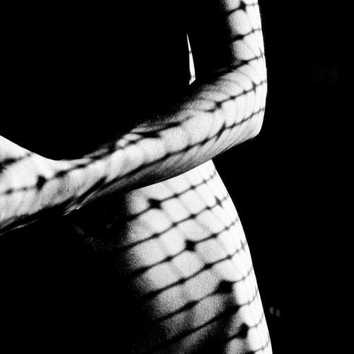 Photo #7005957