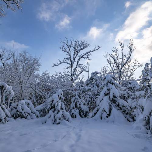 Photo #7006118