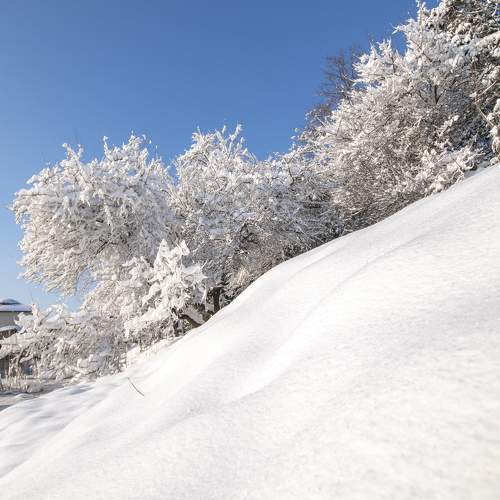 Photo #7006251