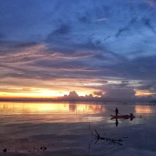 Photo #7006300