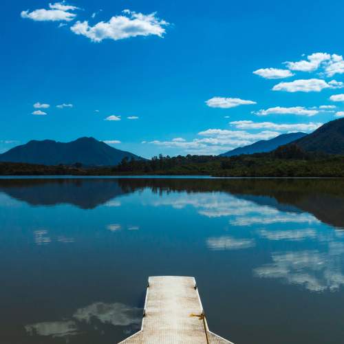 Photo #7006332