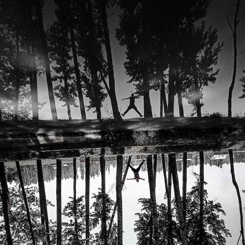 Photo #7006819