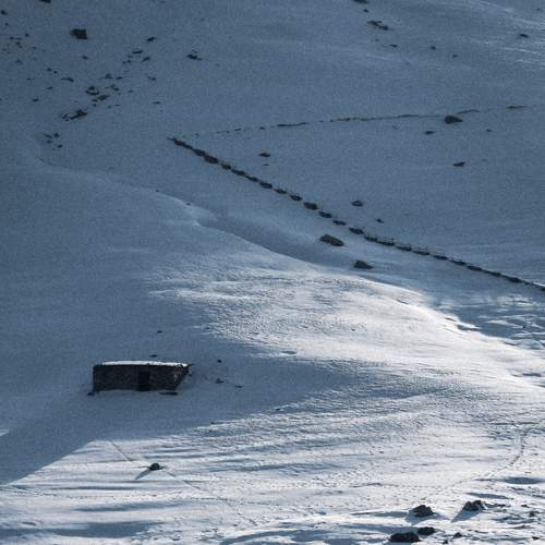 Photo #7006837